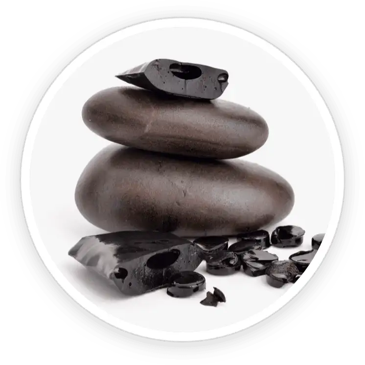 PotentStream ingredient Shilajit