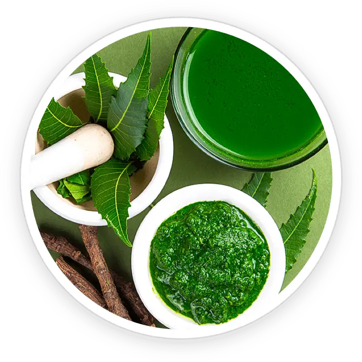 PotentStream ingredient Neem