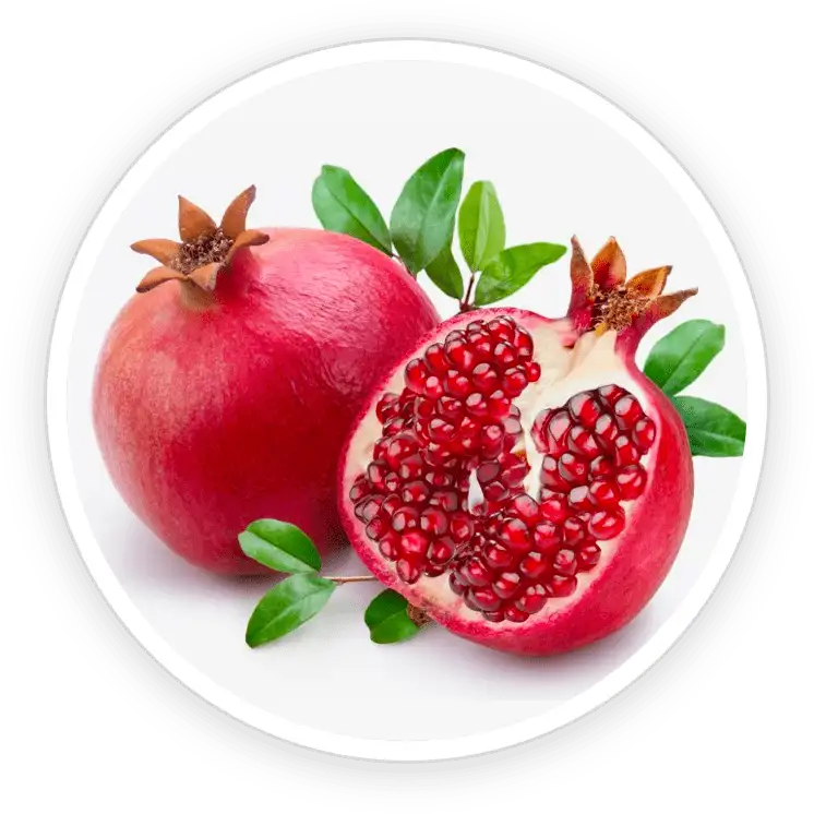 PotentStream ingredient Pomegranate Extract