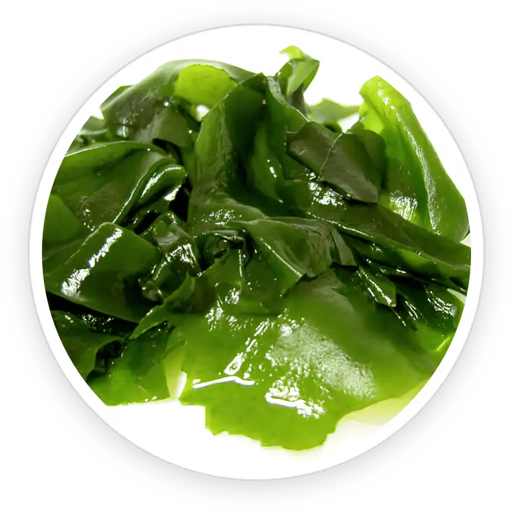 PotentStream ingredient Wakame Extract (leaf)